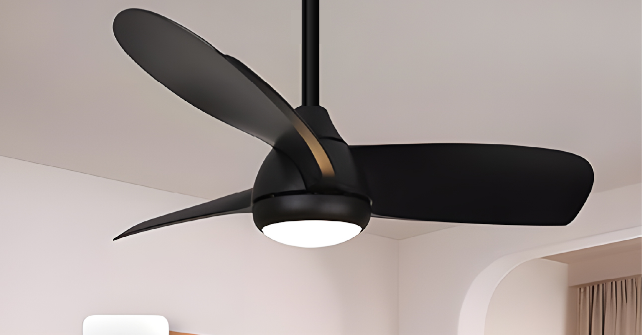 Ceiling Fans (Smart and Decorative)