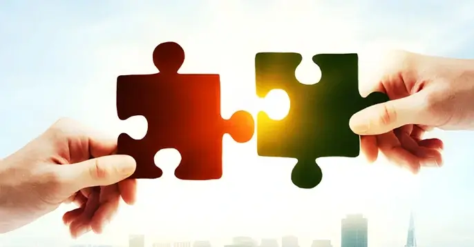 Dealers & Distributors